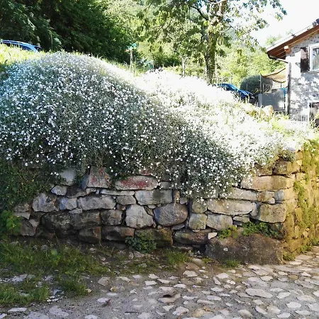 Semesterbostad Casa Eleonora Lezzeno