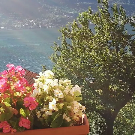 Casa Eleonora Casa vacanze Lezzeno