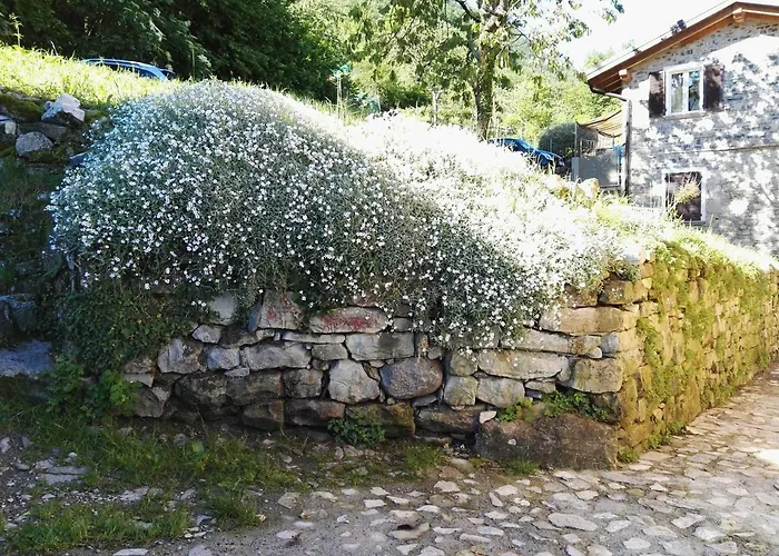 Feriehus Casa Eleonora Lezzeno